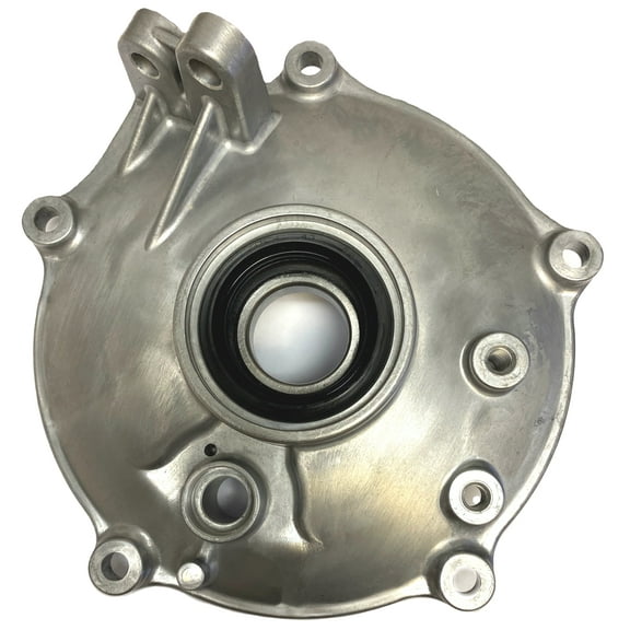 Rear Brake Shoe Plate Panel 97-Up Honda TRX250 Recon 250 TRX250X 250EX Sportrax