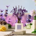 thumbnail image 3 of COCORRÍNA Lavender Thyme Reed Diffuser Set, 6.7 fl oz with Dried Flowers, Long Lasting Home Fragrance Air Freshener for Bedroom, Bathroom, Office, 3 of 7