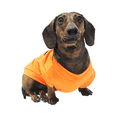 thumbnail image 3 of Midlee Pumpkin Face Dog Shirt Halloween Costume (Large), 3 of 3