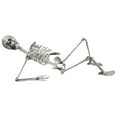 thumbnail image 3 of YYV 170cm Halloween Skeleton Prop Human Full Size Skull Hand Life Body Anatomy Model Decor, 3 of 6