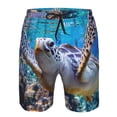 thumbnail image 4 of Naloa Sea Turtle Swims Men's Beach Shorts, Surfing shorts, Swim trunks, Quick Dry Swim Trunks for Surfing Beach Fun - Small, 4 of 9