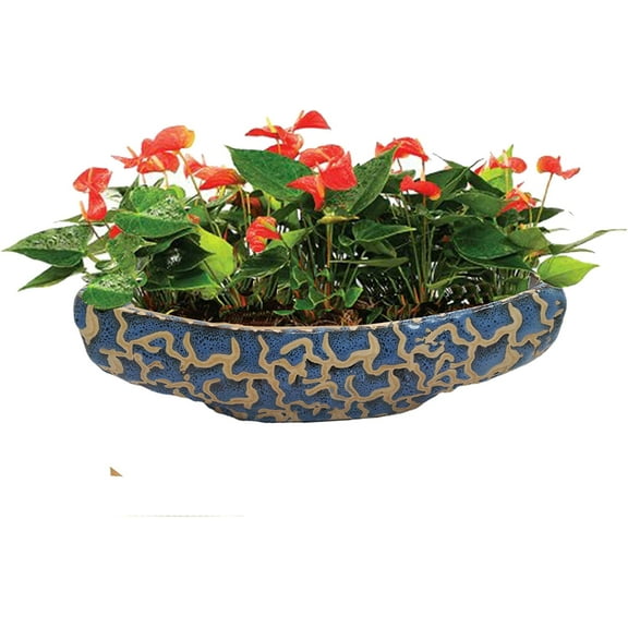 India Meets India Ceramic Boat Shaped Planter Flower Pots Indoor Outdoor Planter, Handicraft by Awarded Indian Artisan (10" Inch, Blue)
