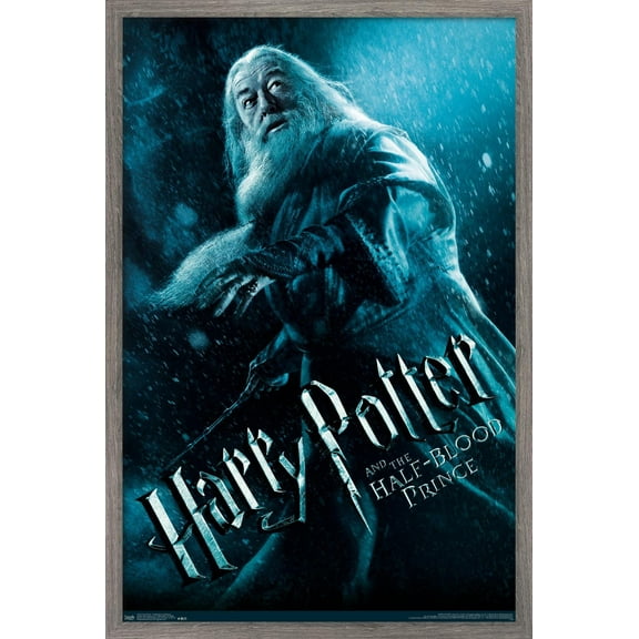 Harry Potter and the Half-Blood Prince - Dumbledore One Sheet Wall Poster, 22.375" x 34", Framed