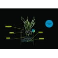 thumbnail image 4 of Lechuza 13700 Canto Color 30 Square Self-Watering Garden Planter, Stone Gray, 4 of 6