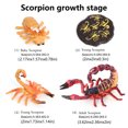 thumbnail image 3 of 1 Set Life Cycle Toy Household Simple Simulation Model Educational Toys Exquisite Interesting Scorpion Models for Home School Black Red, 3 of 9