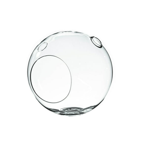 WGV Clear Round Glass Terrarium- No Hook / Candle Holder - 6" Wide x 6.5" Height, Good quality Terrarium - 1 Pc