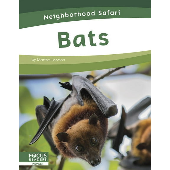 Bats, (Hardcover)