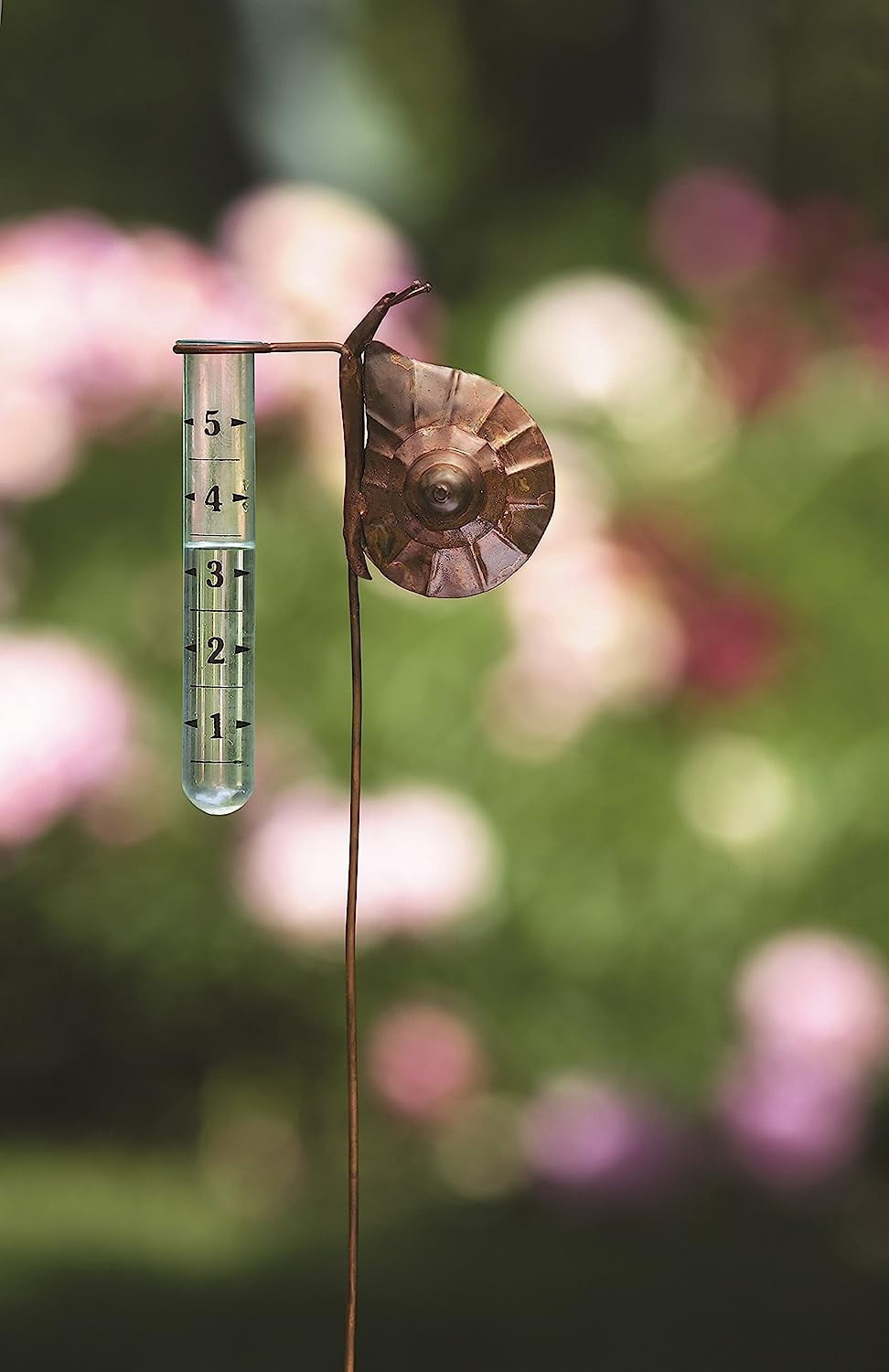 Snail Rain Gauge
