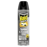 Raid Max Indoor & Outdoor Spider & Scorpion Killer Bug Spray, 12 oz
