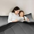 thumbnail image 5 of Homewish Modern Abstract Art Bedding Comforter Set,Minimalist Theme Twin Comforter Sets,Gray Black Ombre Bedding Set For Girls Kids,Ultra Soft Home Decor Reversible,2 Pieces, 5 of 8
