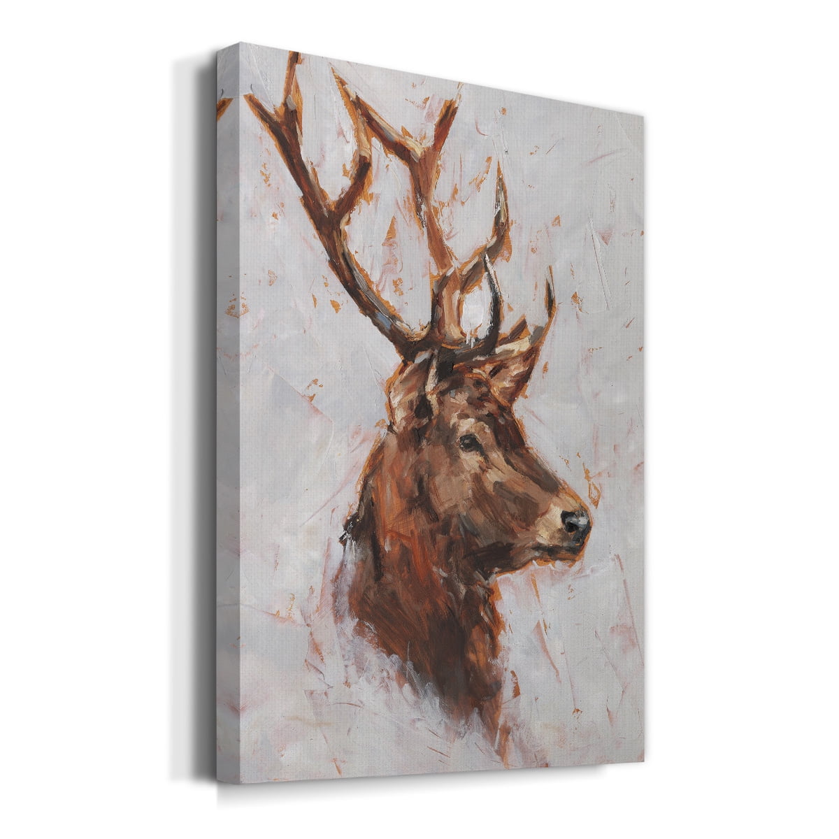 Stag Study II Premium Gallery Wrapped Canvas - Ready to Hang