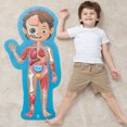 thumbnail image 3 of Hape : Floor Puzzle 61 pcs / Human body, 3 of 7