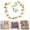 Champagne, variant on ZTTD 1Pcs 7.5FT Cherry Blossom Flowers Garland for Spring Decoration Artificial Flower Garland Silk Sakura Vines Hanging for Wedding Party Valentine Japanese Home Decor