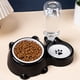 thumbnail image 5 of Cuenco elevado de dos en uno para gatos y perros, con dispensador de agua y comedero inclinado, 5 of 5