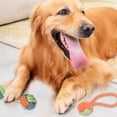 thumbnail image 3 of Dual Ball on Rope Plaything Small Dog Tug Toy, 3 of 5