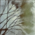 thumbnail image 3 of Goldberger, Jennifer 20x20 Black Modern Framed Museum Art Print Titled - Diffuse Branches II, 3 of 5