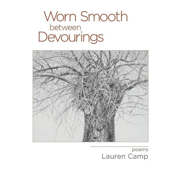 Worn Smooth between Devourings, (Paperback)