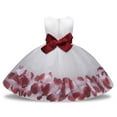 thumbnail image 7 of shqvo Baby Girl Tulle Sleeveless Dresses Toddler Bowknot Formal Party Wedding Flower Girl Dress Tutu Gown, 7 of 7