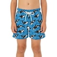 thumbnail image 2 of Gelikeya Kids Boys Swim Trunks Size 7-8 Fashion Graphic Swimming Shorts Quick Drying Elastic Waist Soft Comfortable Bathing Suits, Blue, 2 of 5