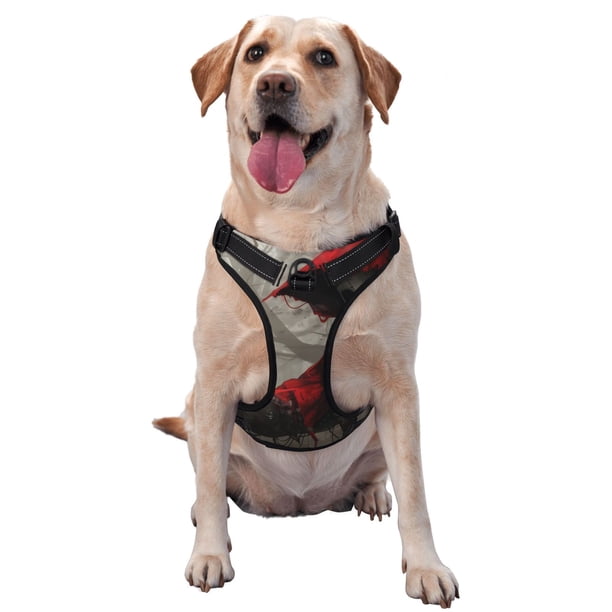Fotbe Dark Red Hooded Girl Arnés para Perro con Estampado –Chaleco Ajustable Acolchado con Asa de Control para Perros Grandes-Small