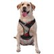thumbnail image 1 of Fotbe Dark Red Hooded Girl Arnés para Perro con Estampado –Chaleco Ajustable Acolchado con Asa de Control para Perros Grandes-Small, 1 of 6