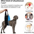 thumbnail image 4 of Eslinga para perros, cinturón de asistencia para mascotas de tela Oxford para perros, soporte para patas traseras para perros mayores discapacitados (azul), 4 of 5