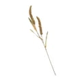 thumbnail image 6 of 3 PCS Simulated Ears of Corn Faux Plants Indoor Artificial Flowers Wisteria Grass Green, 6 of 8