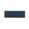 WS Tiles Sample - Premium Denim Blue 4 in. x 12 in. Individual Glass Subway Wall Tile (Sample)