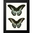 thumbnail image 2 of Vision Studio 15x18 Black Modern Framed Museum Art Print Titled - Antique Blue Butterflies II, 2 of 5