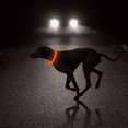 thumbnail image 4 of Collar de perro LED - Collar de perro iluminado recargable por USB que brilla en la oscuridad, MFZFUKR CPB-US-YY58-8, 4 of 5