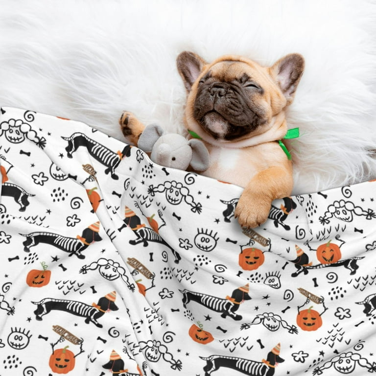 Qekee Halloween Dachshund Print Pet Blankets Super Soft Fluffy
