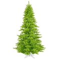 thumbnail image 1 of Vickerman 3' Lime Fir Artificial Christmas Tree with 100 Aqua Lights, 1 of 3