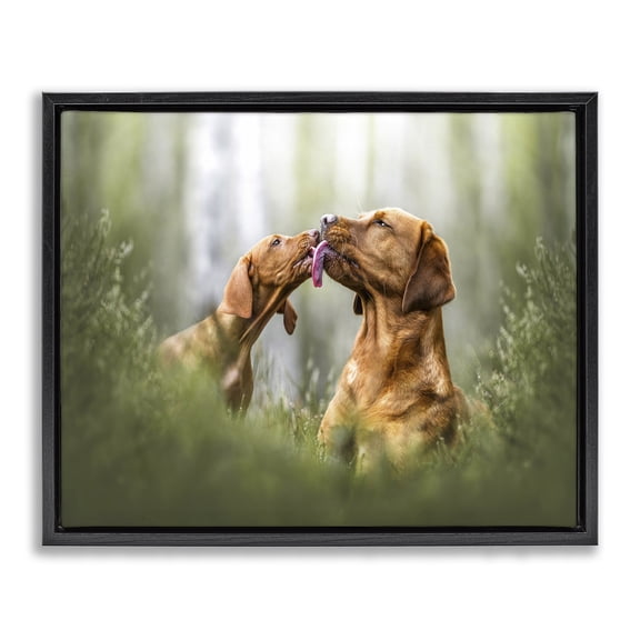Stupell Industries Eclectic Playing Puppies in Grass Black Floating Frame Canvas Art, 21 x 17, by Natalie Grosse