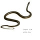 thumbnail image 2 of Rope Clip Snake Prank - Clip Snake Prank, Snake on a Rope People Prank, DIY Golf Snake Prank with Rope and Clip, 2 of 2