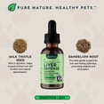 thumbnail image 4 of Animal Essentials Liver Defense Growth Dog & Cat Supplement, 2 Oz, 4 of 9