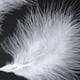 thumbnail image 4 of Billuyoard 50 Uds. De plumas de marabú de pavo, vestido de boda esponjoso, decoración de joyería DIY, accesorios decorativos, plumas Artesanía Blanco Billuyoard HA002055-01, 4 of 6