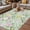 Light Green, variant on Sage Green Spring Floral Outdoor Rug for Patio/Deck, Non-Slip Large Area Rug 4 x 6 Ft, Elegant Farmhouse Flowers Birds Watercolor Indoor Outdoor Rugs Washable Area Rugs, Camping Rug Carpet Runner