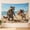 A, variant on XaaKee, Llama Coconut Sip Wall Tapestry, High-Quality Polyester Tapestry For Bedroom, 60x40Inch