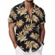 thumbnail image 2 of Blusa y camisa de manga corta con cuello vuelto para hombre, camisa hawaiana de manga corta con estampado de verano para playa, blusa, camisa para hombre, tops de poliéster, 2 of 8