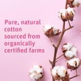 thumbnail image 3 of Bolas de algodón Medline Simply Soft Premium Organic, 600 unidades, 3 of 7