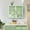 Mint Green, variant on Dark Green Glass Wall Cabinets | Three-Compartment Storage | Strong and Stylish Design | Organize Small Items