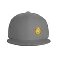 thumbnail image 3 of DouZhe Flat Brim Cap Snapback Hat, Bitcoin Currency Coin Prints Adjustable Gray Adult Baseball Cap, 3 of 6