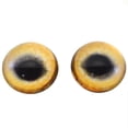 thumbnail image 3 of High Domed Tan Wolf Glass Eyes, 3 of 5