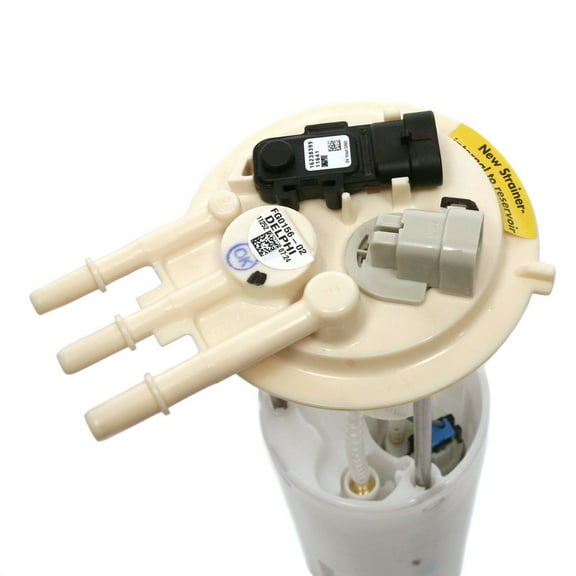Delphi FG0156 Fuel Pump Module