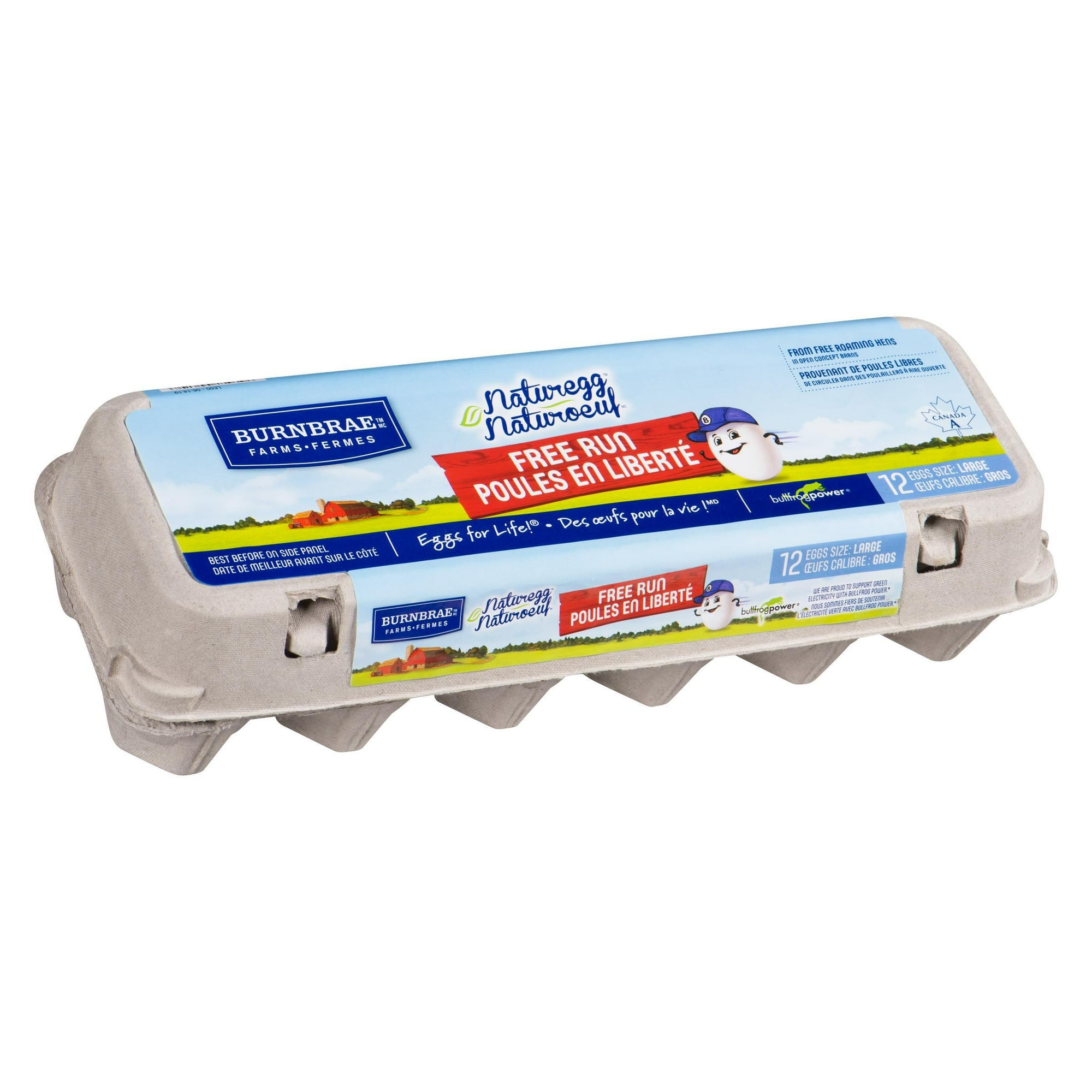 Naturegg Large Free Run Eggs, 12 eggs/carton