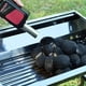 thumbnail image 5 of Soplador de aire eléctrico, ventilador de barbacoa de mano para barbacoa, cocina al aire libre, herramientas de barbacoa al aire libre, 5 of 5
