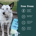 thumbnail image 4 of Health Extension Pet Care 802086 30 lbs Lamb Meal & Brown Rice Formula Ancestry Dog Food, 4 of 7
