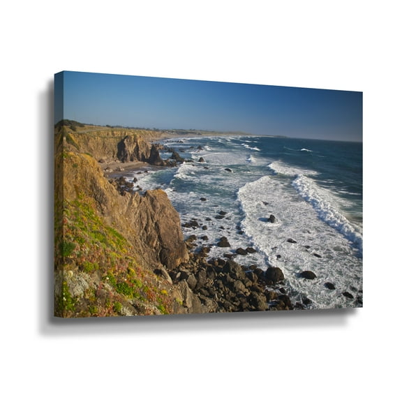 ArtWall Dan Wilson Sonoma Coast Wall Art