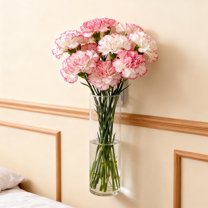 Hanging Hydroponic Glass - Wall-Mounted Glass Holders, Clear Flower Vases for Propagation, Durable Garden & Home Decor, Mothers Day Gifts, 2.28*9.84in, Transparent