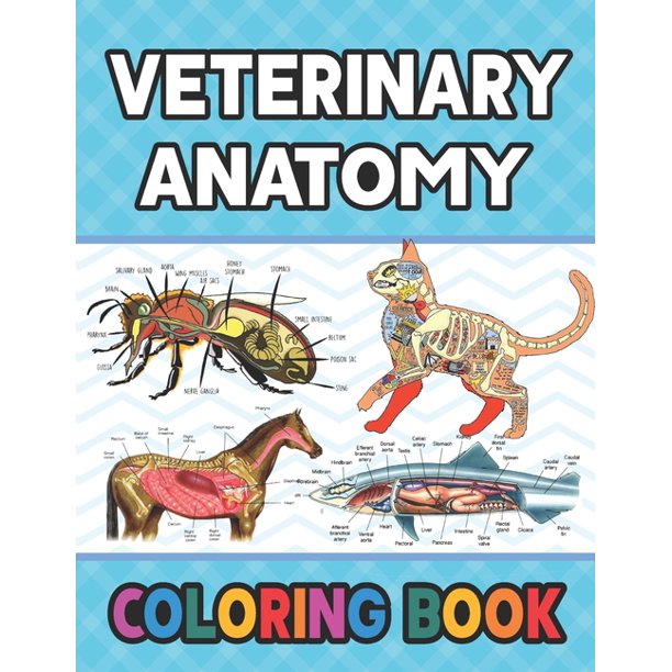 Download Veterinary Anatomy Coloring Book A Collection Of Fun And Easy Veterinary Anatomy Coloring Pages For Kids